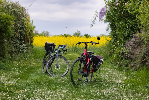 Bicycle yearning