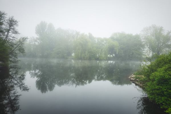 Foggy Reflections: When the Water Mirrors Your Mood