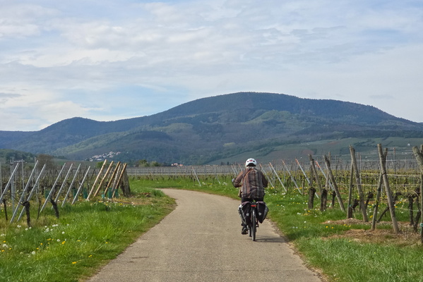 Wine-ding road