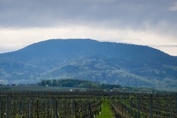 Lost in Translation: The Hill Speaks a Different Language