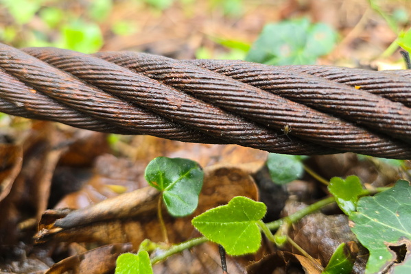 Rust's Resilience