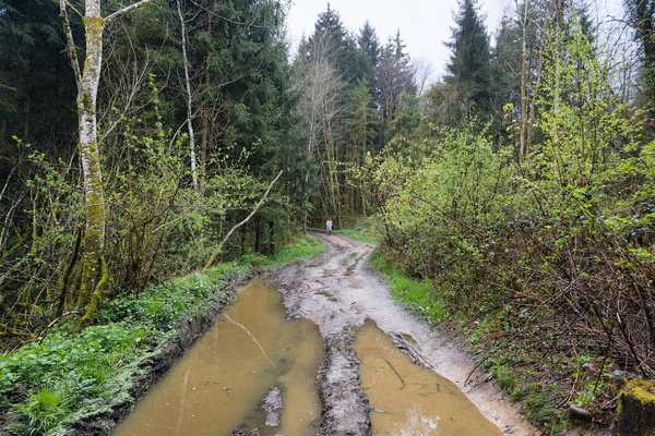 Puddle Think