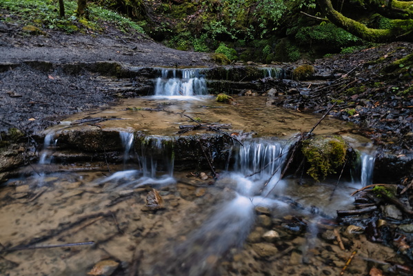 Stillness in movement