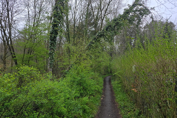 Green: An Immersion