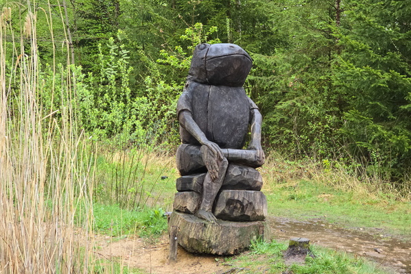 Toad-ally zen in Steinfort