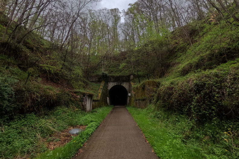 20250424_181310.jpg