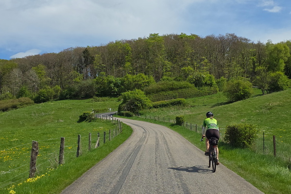Pedal Power Paradise