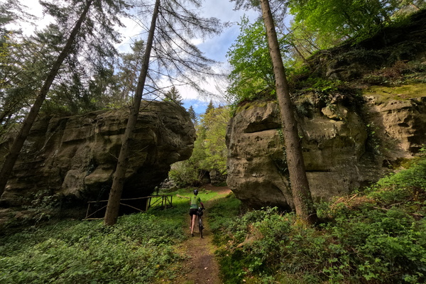 Ancient Guardians of the Trail