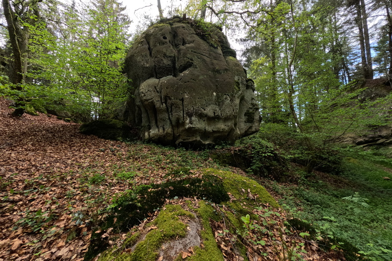 20250426_160929.jpg