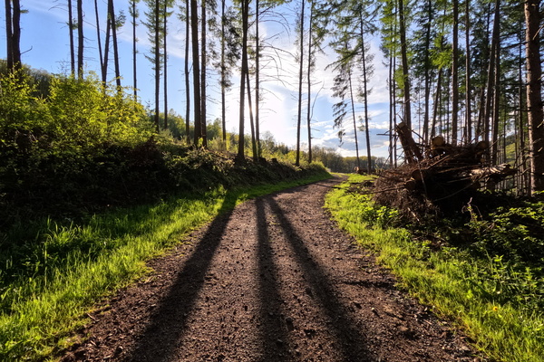 Imperfect Path, Perfect Moment