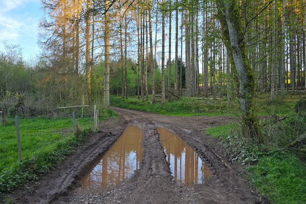 Puddle Jumper's Paradise