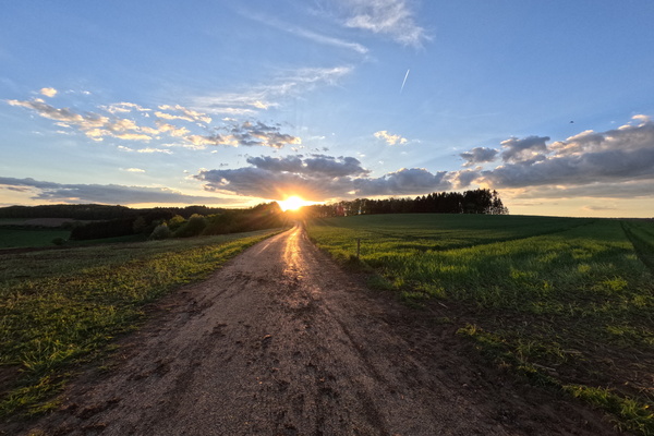 Chasing Sunlight: My Latest Obsession